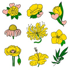 set of flowers and leaves