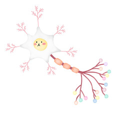 Neural communication. Synapse ,  vector diagram for education, medical, science use