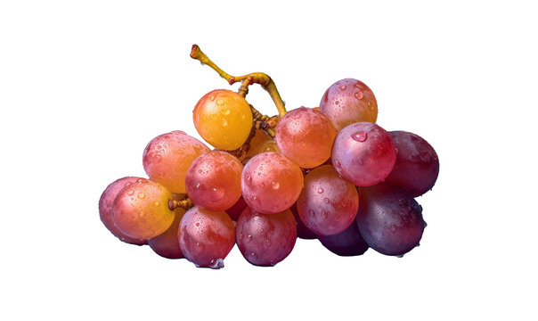 bunch of red grapes HD transparent background PNG Stock Photographic Image
