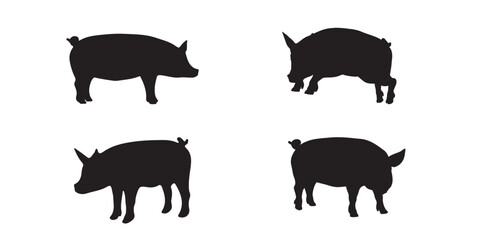 silhouette pig vector eps 10