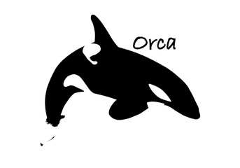 Fototapeta premium Orca silhouette illustration 