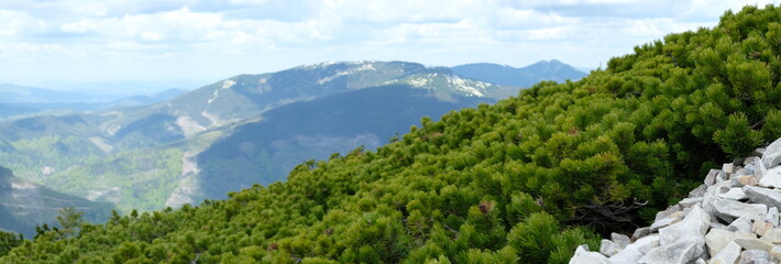 Naklejka premium Carpathian mountains panarama. photo taken at an altitude of 1800 meters above sea level.
