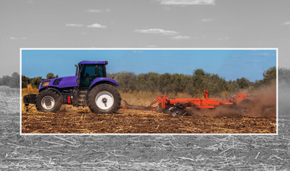Big purple tractor plows the field and removes the remains of previously mown sunflower. Part of...