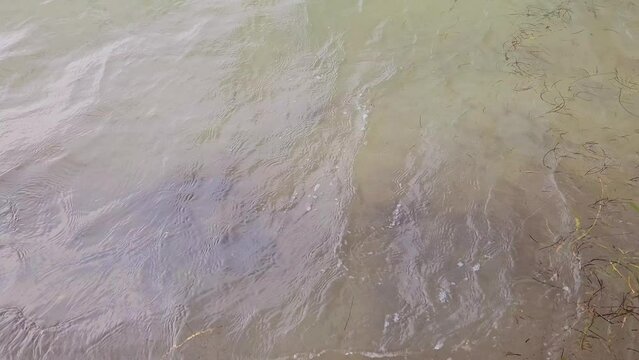 Water and litle raft