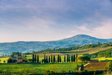 Fototapeta na wymiar The wavy hills of the landscape in Val d'Orcia from San Quirico d'Orcia