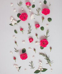 Creative arrangement of red flowers and leaves on bright background. Blooming rose concept. Flat lay. Minimal nature.