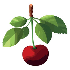 red cherry illustration