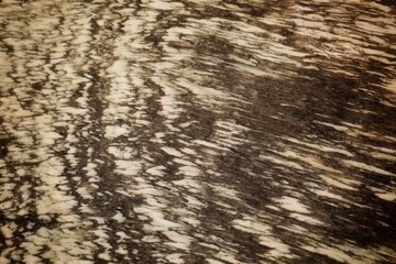 wood grain and marble background