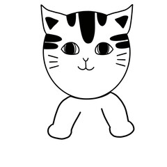 A cute little cat with lines created to be able to decorate the work.