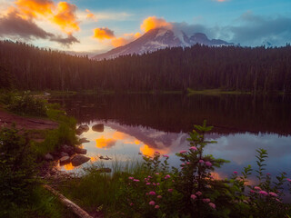 Amazing sunset at Paradise, Mount Rainier National Park