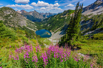 A small lake amidst the scenic summer mountains, Heather-maple pass loop trail, Washington state