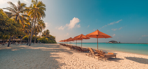 Fantastic panoramic view. Sandy shore soft sunrise sunlight over chairs umbrella and palm trees....