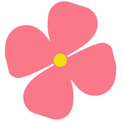 Colorful flowers in summer, winter, rainy season that bloom to enjoy