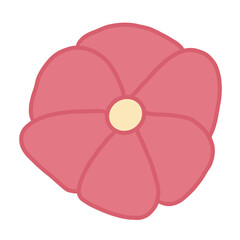 Colorful flowers in summer, winter, rainy season that bloom to enjoy