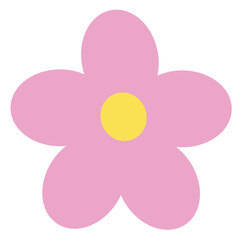 Colorful flowers in summer, winter, rainy season that bloom to enjoy