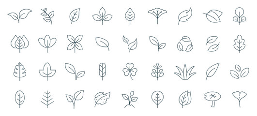 leaf icon set line style. Leaves of trees and plants, Leaves icon Collection, design for natural, eco, bio, and vegan labels. Vector illustration.