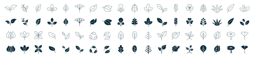 leaf icon set line and fill. Leaves of trees and plants, Leaves icon Collection, design for natural, eco, bio, and vegan labels. Vector illustration.