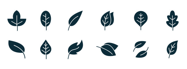 Leaf icon. Vector illustrations of botany, herbal, ecology, bio, organic, vegetarian, eco, fresh, and natural icon set