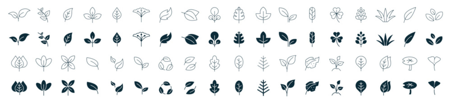 leaf icon set line and fill. Leaves of trees and plants, Leaves icon Collection, design for natural, eco, bio, and vegan labels. Vector illustration.