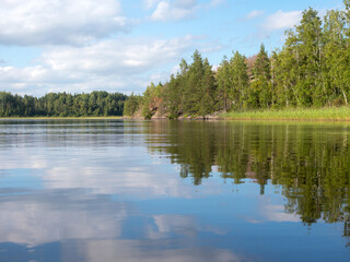 Fototapeta na wymiar summer landscape on a forest lake
