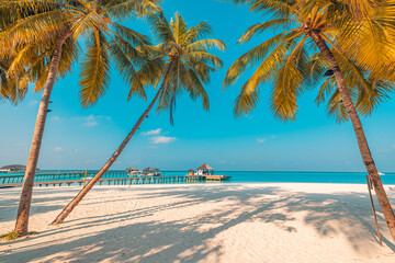 Tropical sunset light beach water villas piers island landscape sand romantic sea beach. Beautiful palm trees shadows idyllic vacation or summer holiday concept. Honeymoon, romance resort exotic shore