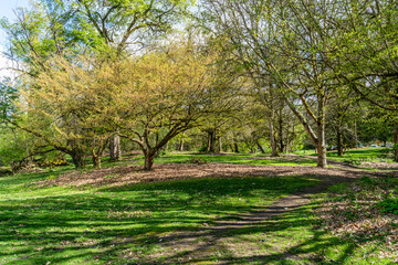 Obraz premium Terrain Near Duck Bay 3