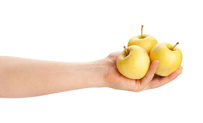 yellow apples in hand path isolated on white
