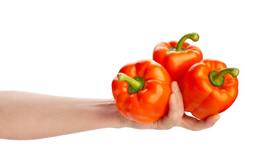 orange bell pepper in hand path isolated on white