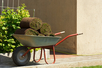 Rolls of green grass turf are stacked in a garden wheelbarrow on a summer sunny day. The concept of...