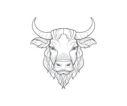 Bull Outline, Bull face, Bull Head Sketch, Bull mascot Logo