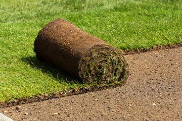 Close shot unrolled turf roll of natural green grass and grass free land. Laying rolls of grass sod for landscape design in the garden. Gardening concept. Copy-space.