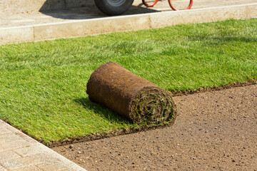 Close shot unrolled turf roll of natural green grass and grass free land. Laying rolls of grass sod for landscape design in the garden. Gardening concept. Copy-space.