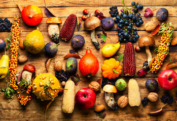 Autumn harvest set on wooden surface