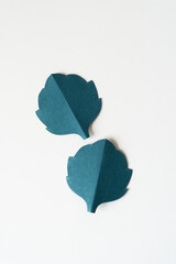 two blue paper leaves on white