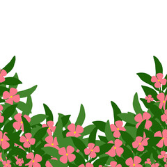 Bright flowers in the season, wind, bright colors, blooming flowers, receiving the light beautifully