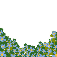 Bright flowers in the season, wind, bright colors, blooming flowers, receiving the light beautifully