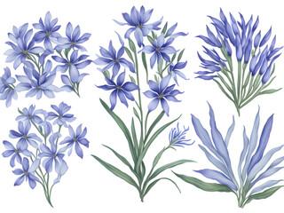 set of watercolor agapanthus flower elements on transparent background,generative ai