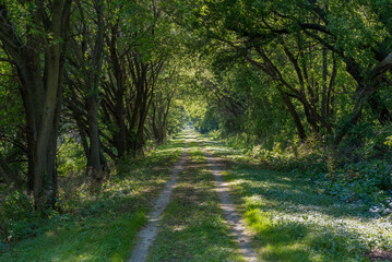 Wild Goose State Trail Near Marblehead, Wisconsin