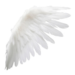 Naklejka premium white feather isolated on transparent background cutout
