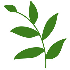 bright green leaves in summer