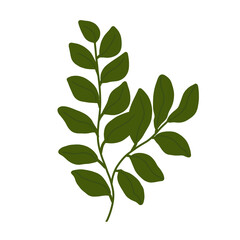 bright green leaves in summer