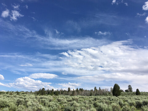Beautiful mountainside with a few trees and lots of sagebrush, blue skies with dramatic wispy clouds.  Mountain in rural Utah near Price, UT.   Lovely mountain in rural Utah.