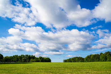 Beautiful sky over a vast green meadow in a park. Summer is ideal for cold weather countries. People prefer to spend their time outside, exercising and enjoying the nice weather.