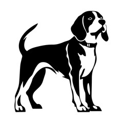 Beagle dog cartoon on white background illustration