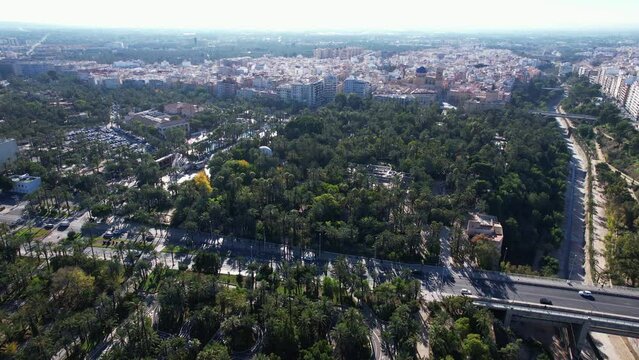 Aerial view above El Palmeral de Elche in the south of Spain