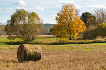 Jesienny krajobraz z belą siana
