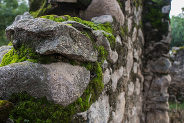 piedras musgosas