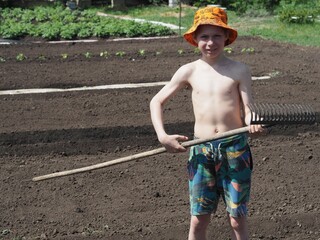 On a summer day during school holidays, the boy is working effortlessly in agriculture. The concept...