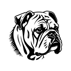 bulldog cartoon on white background illustration