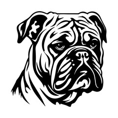 bulldog cartoon on white background illustration